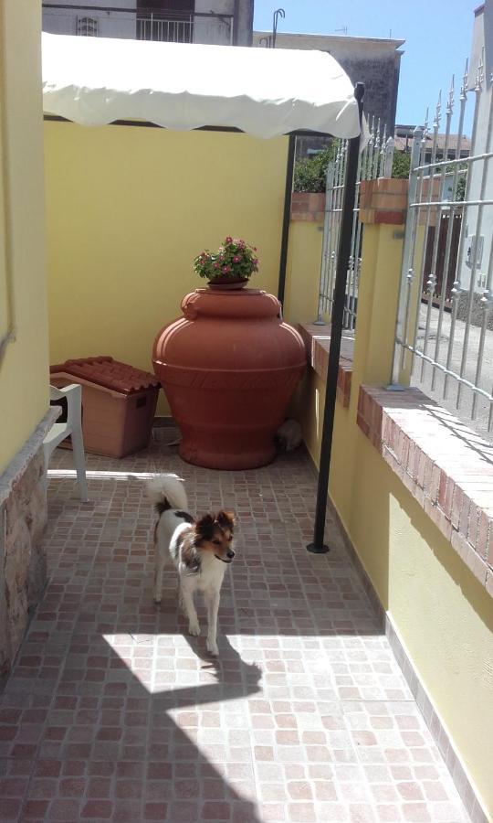 B&B A Casa Di Antonella スカウリ エクステリア 写真